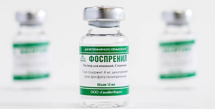 Фоспренил для кошек: описание и практическое применение