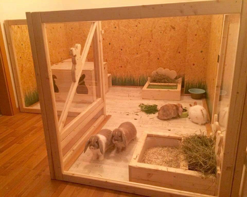 Руководство по изготовлению домика для декоративных кроликов собственноручно