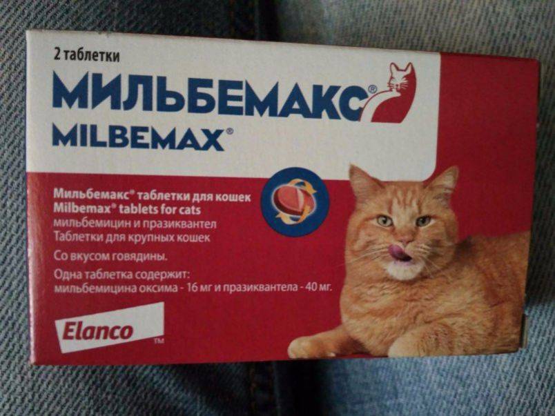 Мильбемакс для кошек: подробное описание, применение
мильбемакс для кошек: подробное описание, применение