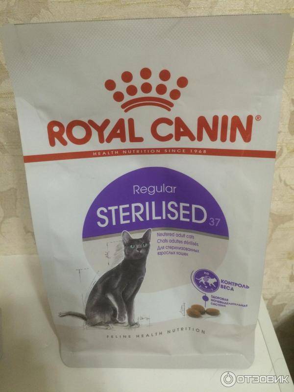 Корм для кошек роял канин (royal canin): обзор, виды, состав, отзывы