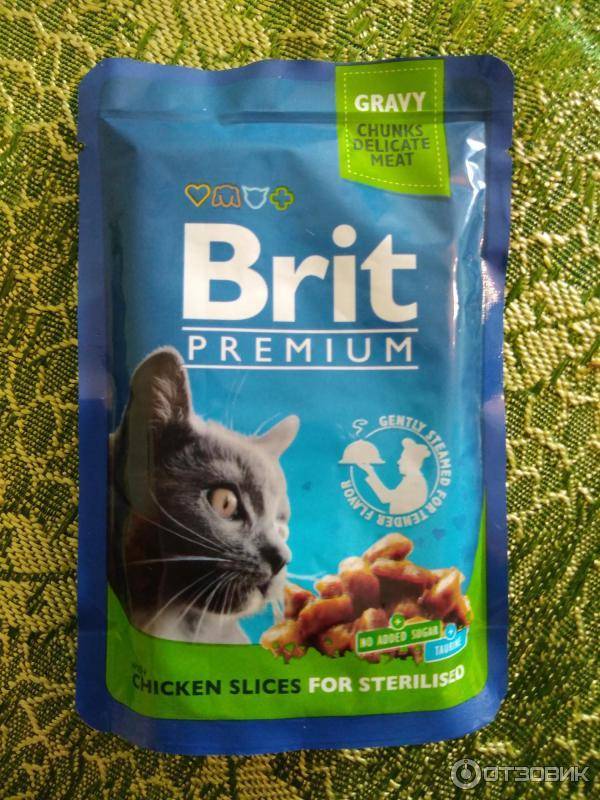 Корм для кошек «брит» (brit care и premium): отзывы ветеринаров о чешской марке для котят и взрослых питомцев, её состав и виды