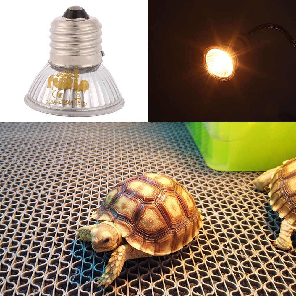 Выбор и установка ультрафиолетовой лампы для красноухой и сухопутной черепахи.