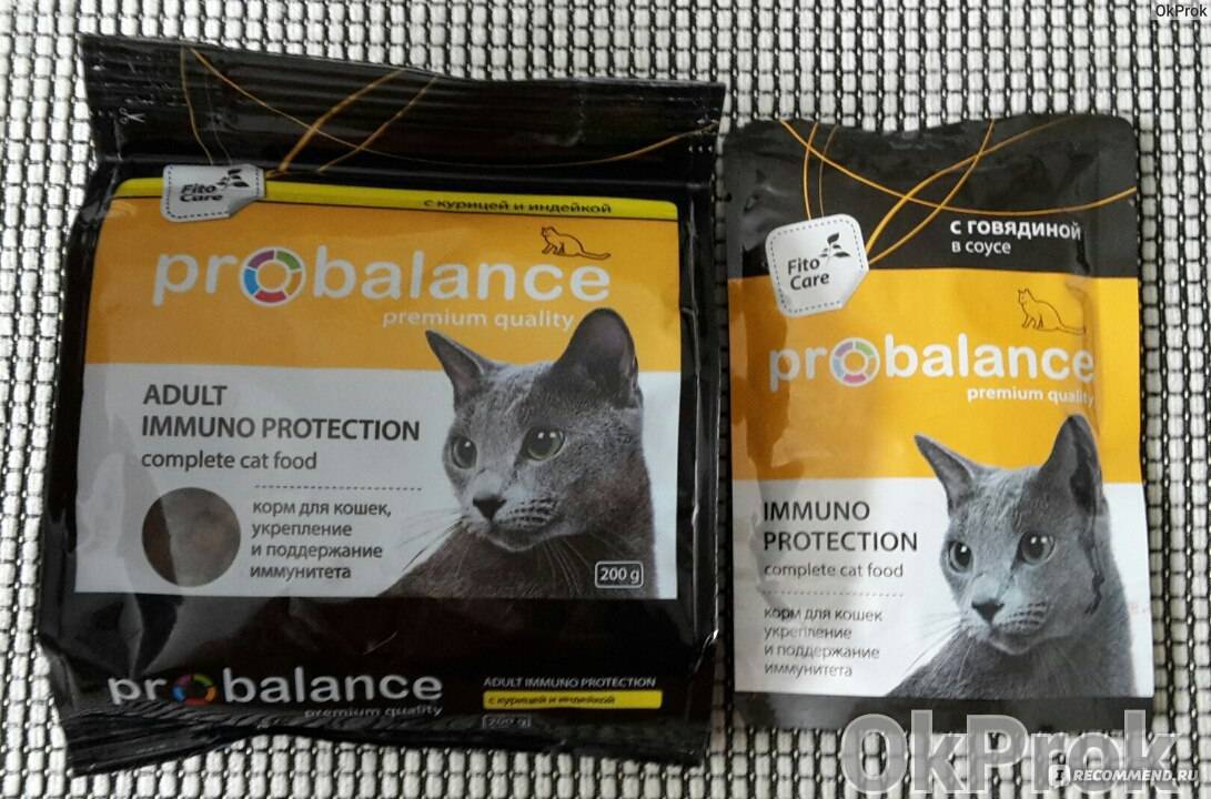 Как кормить кошку сухим кормом пробаланс