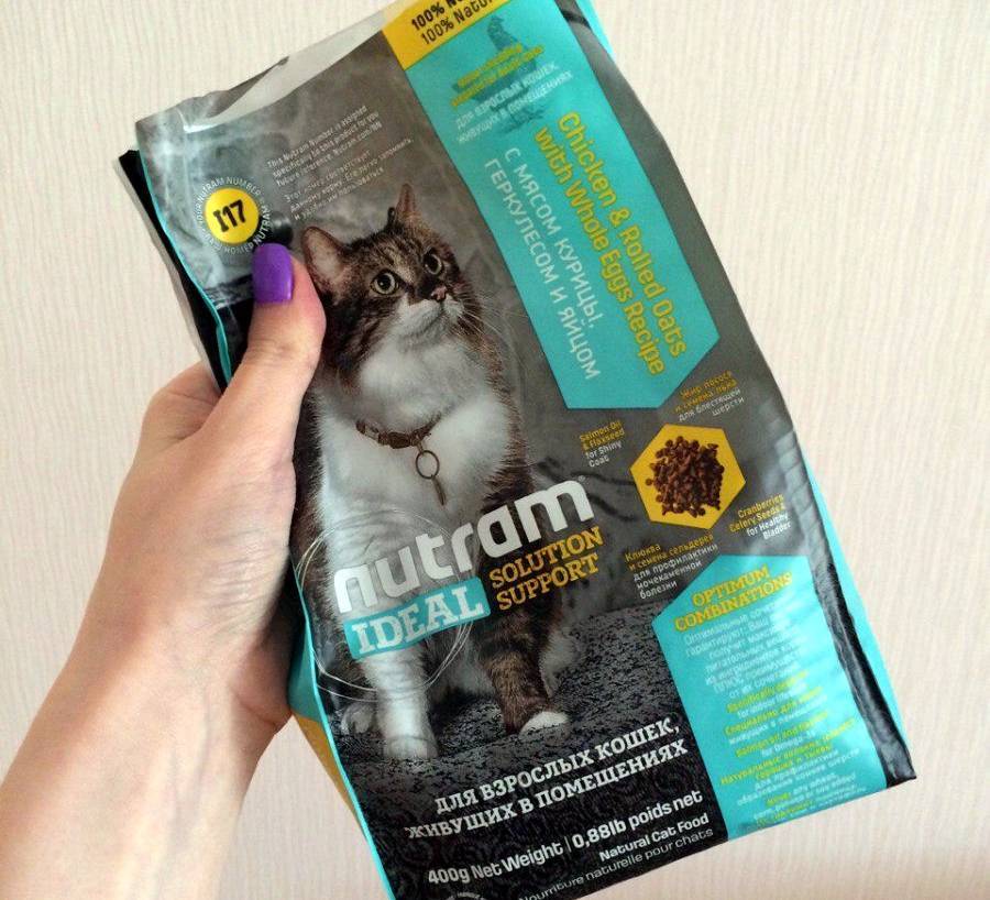 Влажный корм для кошек nutro отзывы - корм для кошек - первый независимый сайт отзывов россии