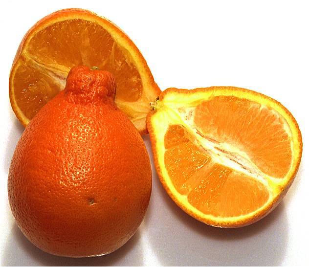 Гибрид мандарина и апельсина