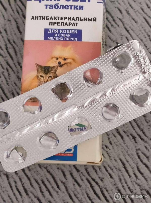 Ципролет для собак: инструкция по применению глазных капель и таблеток с дозировкой и отзывами. можно ли давать препарат щенкам и взрослым?