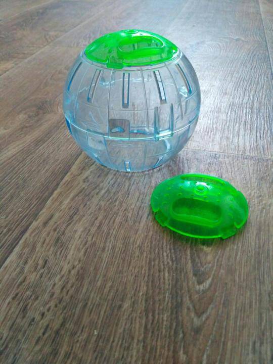 Как сделать прогулочный шар для хомяка своими руками: используем пластиковую бутылку, ведро и прозрачный пластик