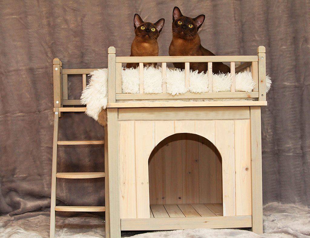 Домик для кошки своими руками: варианты, чертежи, размеры, каноны изготовления