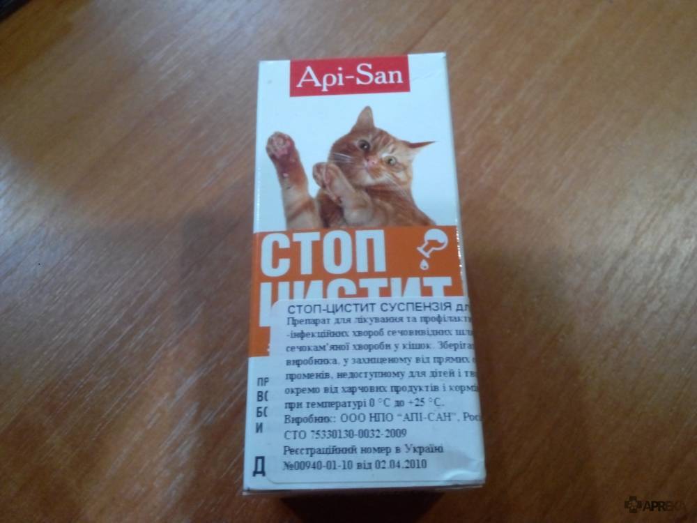 Стоп-цистит (суспензия) для кошек и собак | отзывы о применении препаратов для животных от ветеринаров и заводчиков