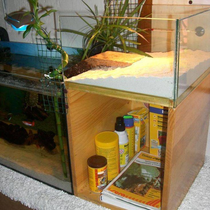 Как правильно обустроить аквариум для черепах?