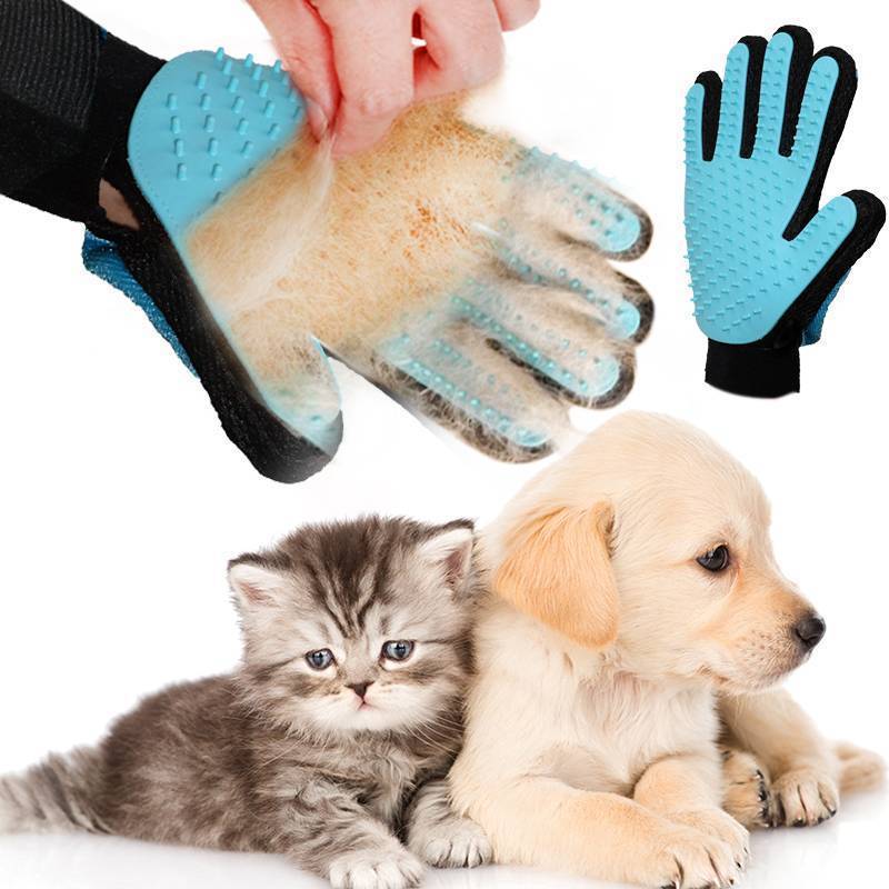 Перчатка для вычесывания шерсти с домашних животных - эффективный аксессуар заводчика