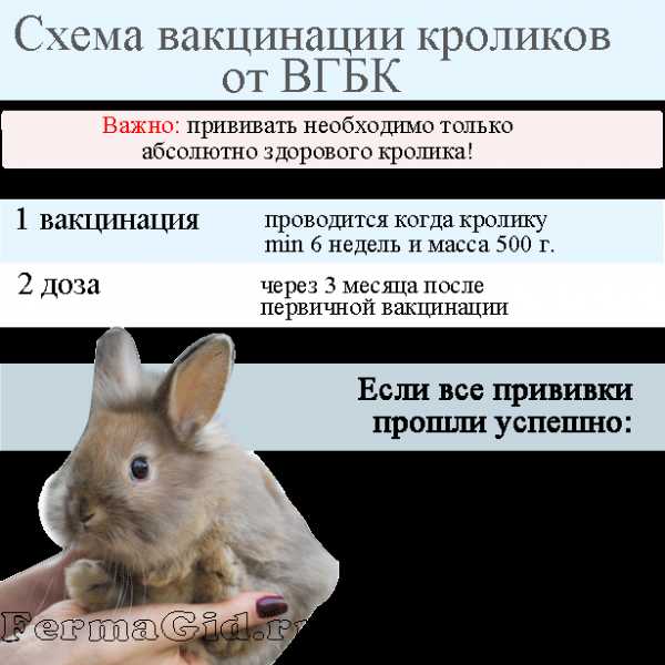 Вакцина от миксоматоза и вирусной геморрагической болезни кроликов