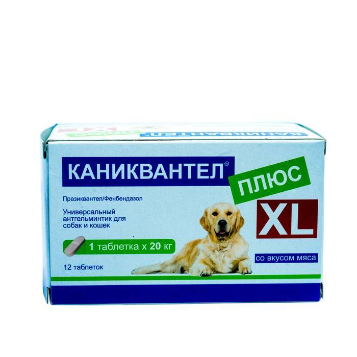 Каниквантел  плюс