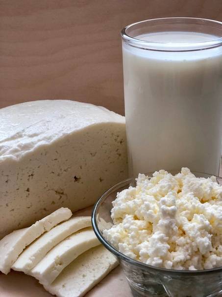 Можно ли хомякам молоко, творог, сметану и кефир (молочные продукты для джунгарских и сирийских пород)