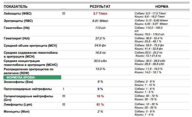 Причины повышенного и пониженного лдг в крови | клиника «фамилия»