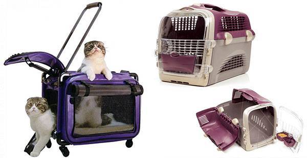Как перевезти животных с аэрофлотом – в салоне и в багаже