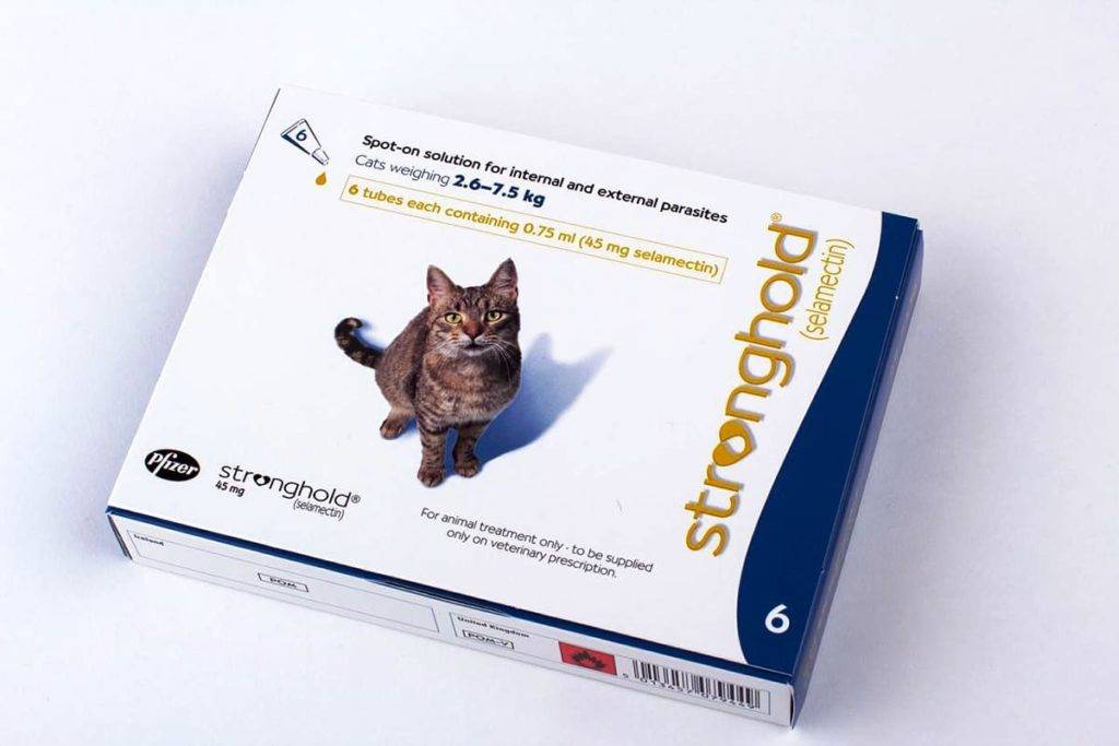 Инструкция по применению стронгхолда у кошек. рассчитайте оптимальную дозу препарата. изучите широту противопаразитарного эффекта stronghold spot on для котов. улучшите эффективность терапии на 200%