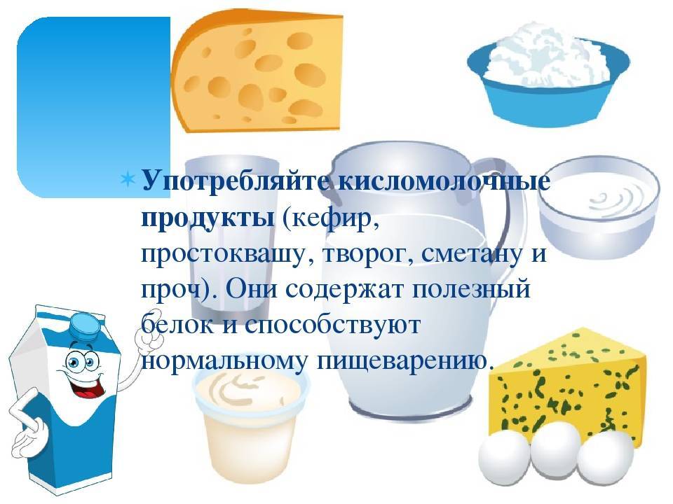 Кисло молочные продукты в пищу щенку и взрослой собаке (wolcha.ru)