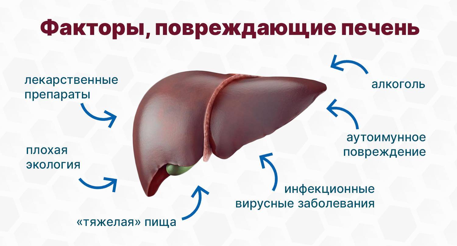 Что значит сосудистый рисунок печени обеднен что это значит