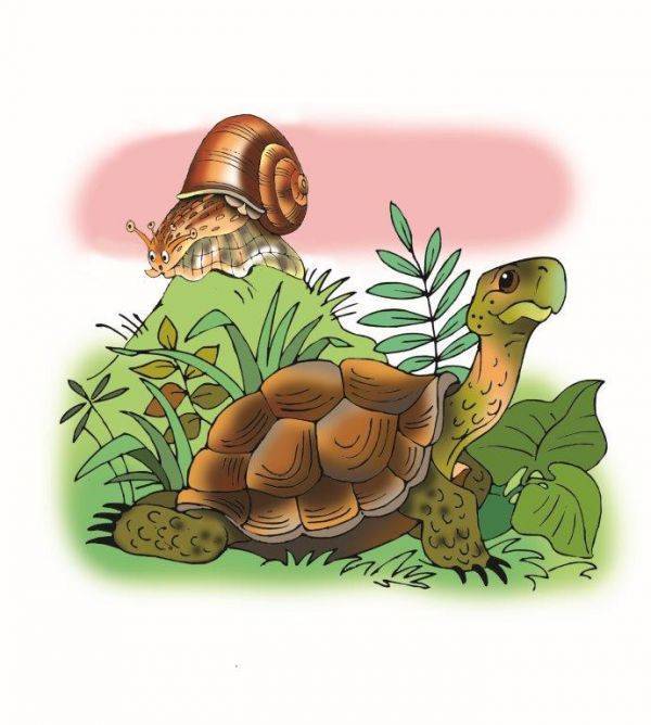 Какую скорость может развить черепаха?: статьи