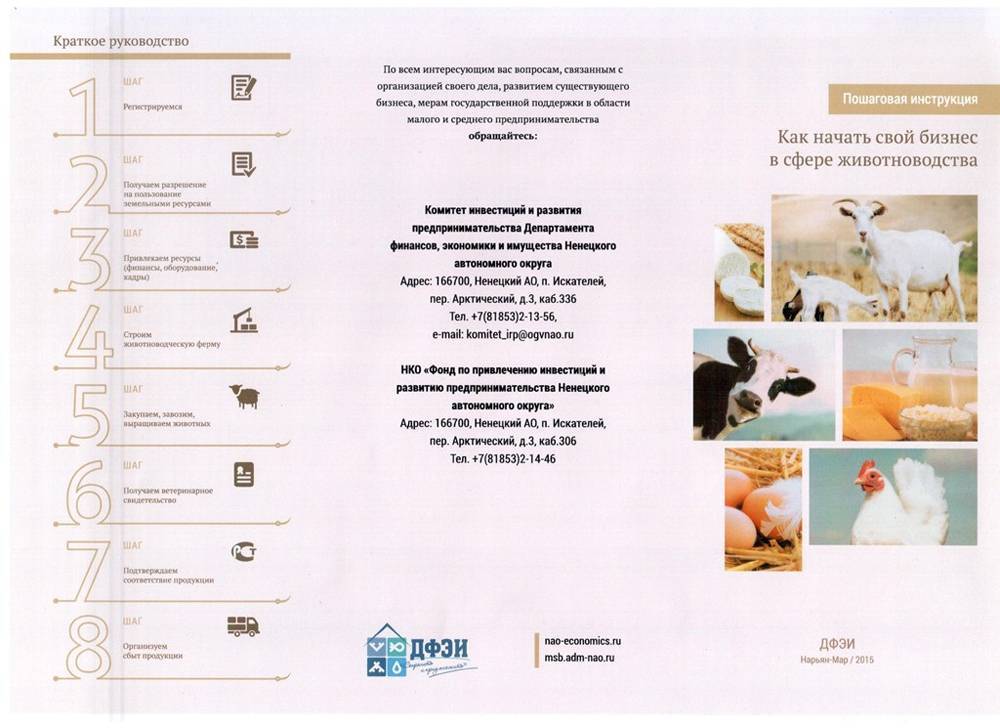 Бизнес по производству кормов для домашних животных - технология бизнеса