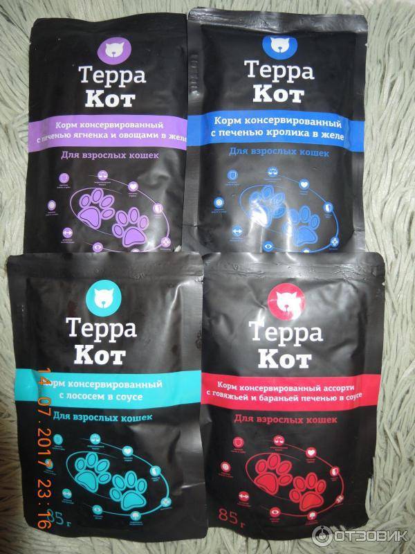 Терракот для кошек