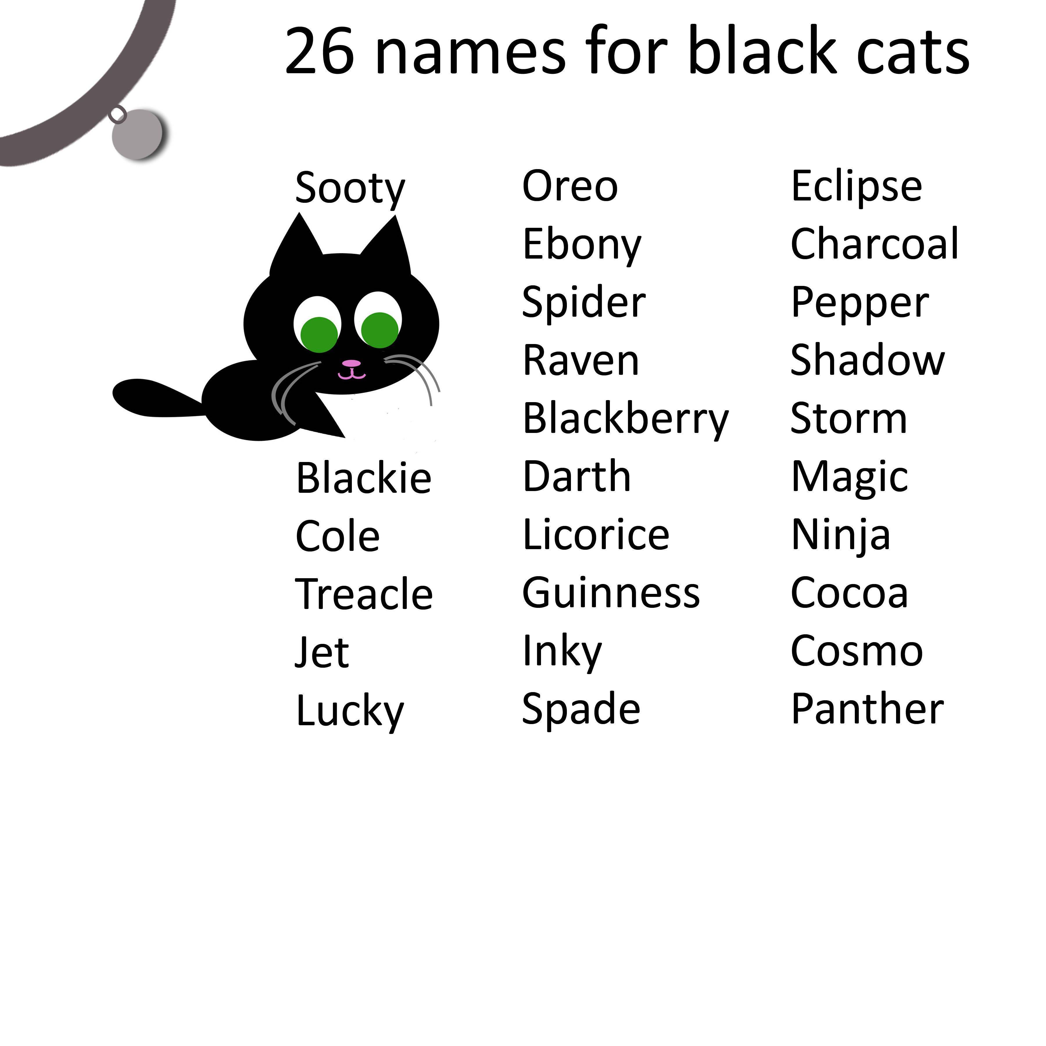 Как можно назвать черную кошку девочку