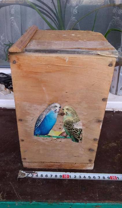 Этапы строительства гнездового домика для волнистых попугаев