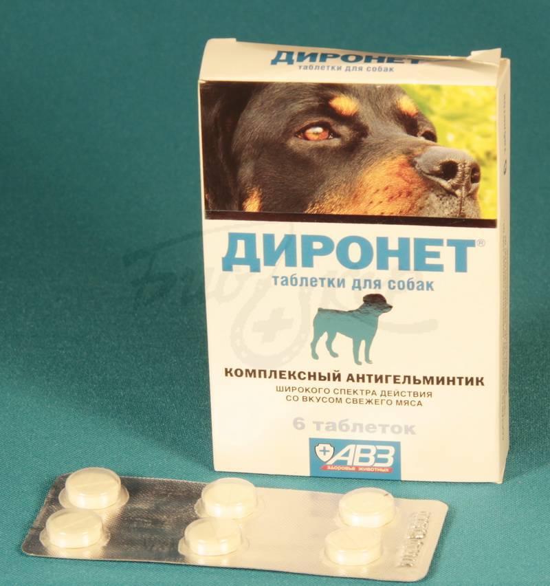 Топ-8 лучших таблеток от глистов для собак в 2022 году в рейтинге biokot