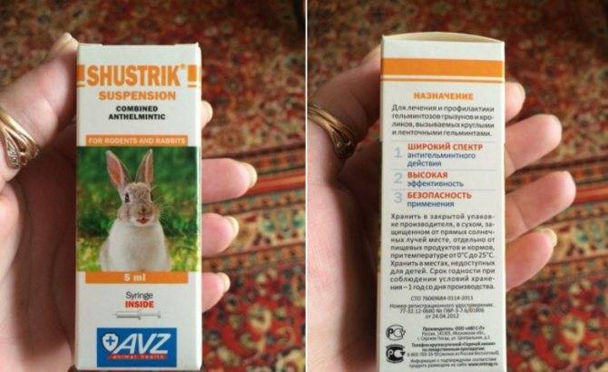 Глисты у кроликов - симптомы и лечение, как лечить паразиты