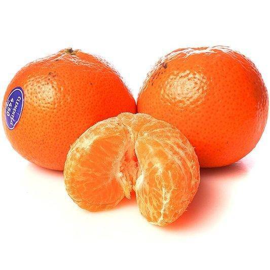 Цитрусовый гибрид мандарина и апельсина — сорта