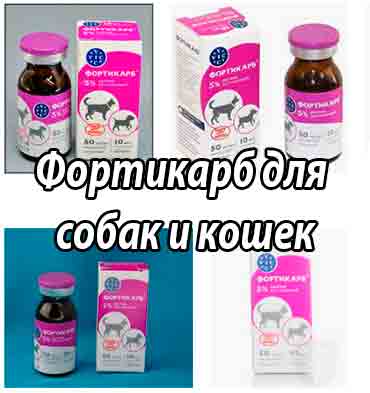Фортикарб – инструкция по применению для собак, аналоги