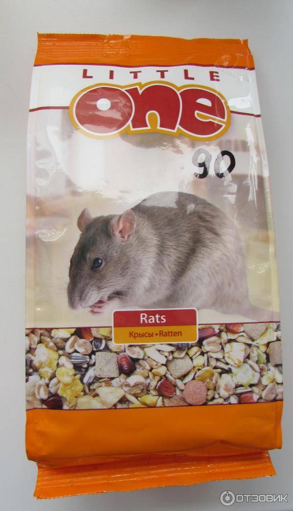 Корм для крыс (24 фото): каким кормом лучше всего их кормить? можно ли кормить крысу сухим кошачьим кормом? из чего сделать корм для крыс своими руками?