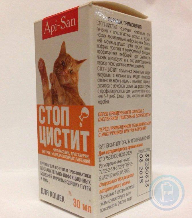 Стоп цистит – препарат для кошек