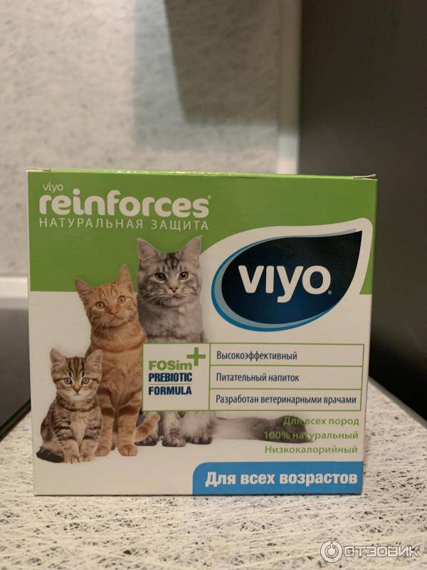Как правильно давать напиток viyo кошке: способ применения пробиотика