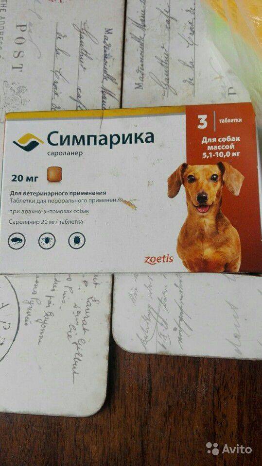 Таблетки, капли и средства от клещей для собак