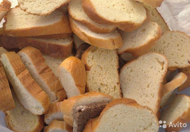 Можно ли хомякам белый или черный хлеб, а также другую мучную продукцию
