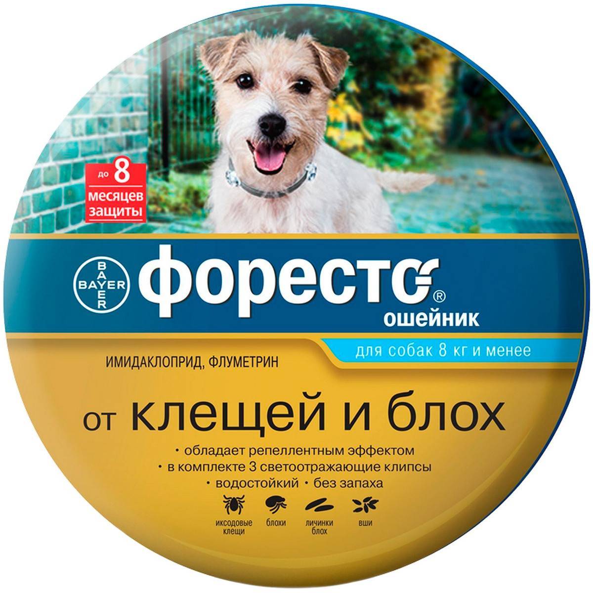 Ошейник форесто для собак: описание изделия и особенности использования защитного средства