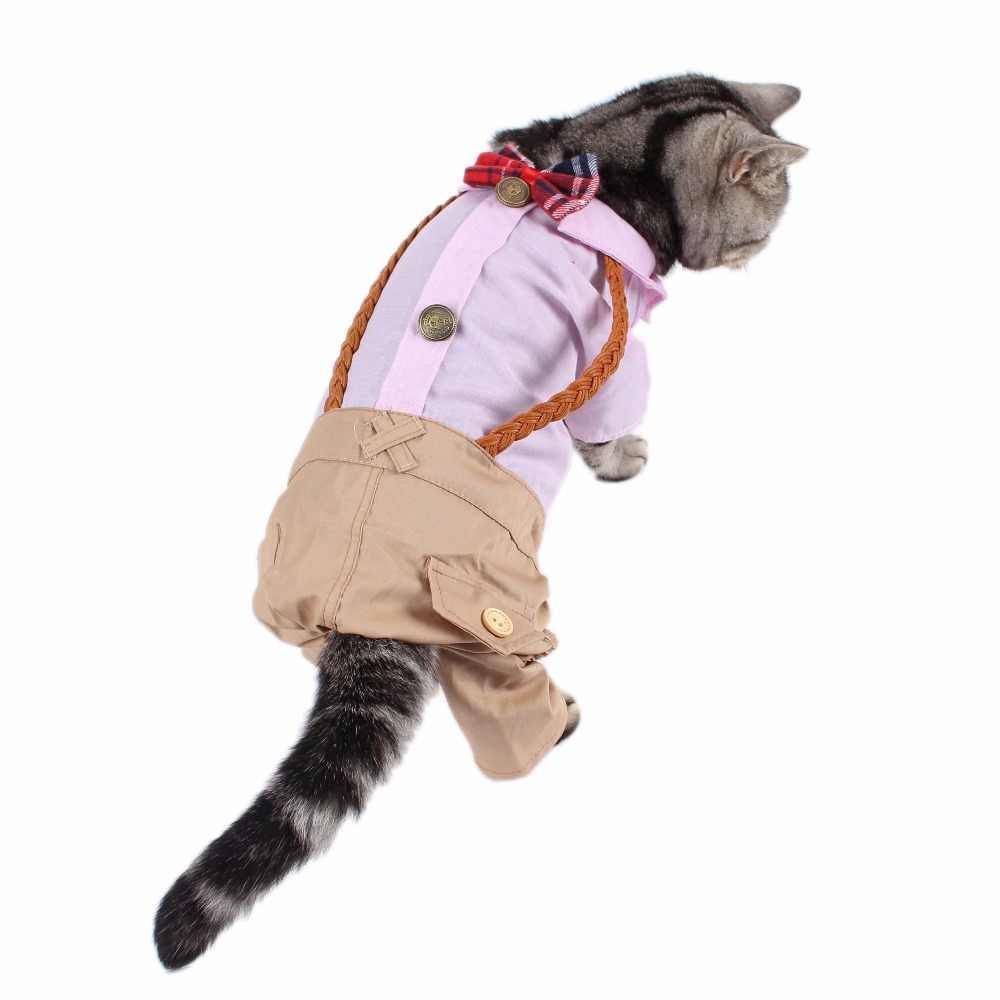 Одежда для кошек и котов: необходимость использования, как выбрать костюм в магазине и сделать своими руками