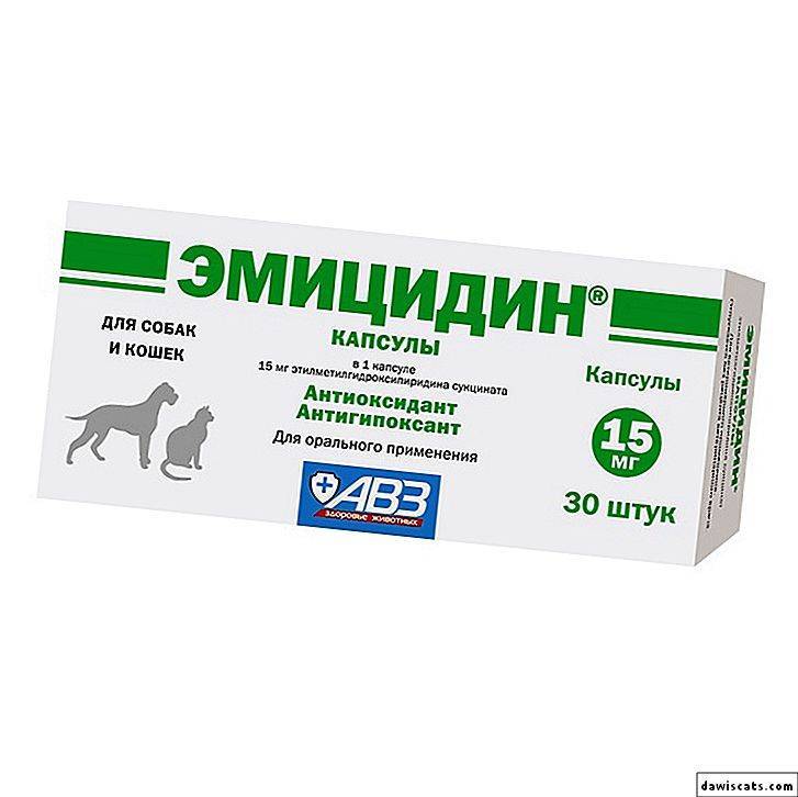 Препарат эмицидин для собак: инструкция по применению, стоимость, отзывы