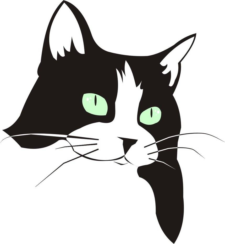 Как нарисовать красивую лежащую кошку, аниме, мордочку, силуэт, глаза кошки, кошку с котятами?