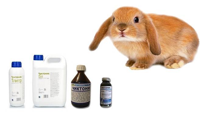 Чиктоник для кроликов: инструкция по применению витамина