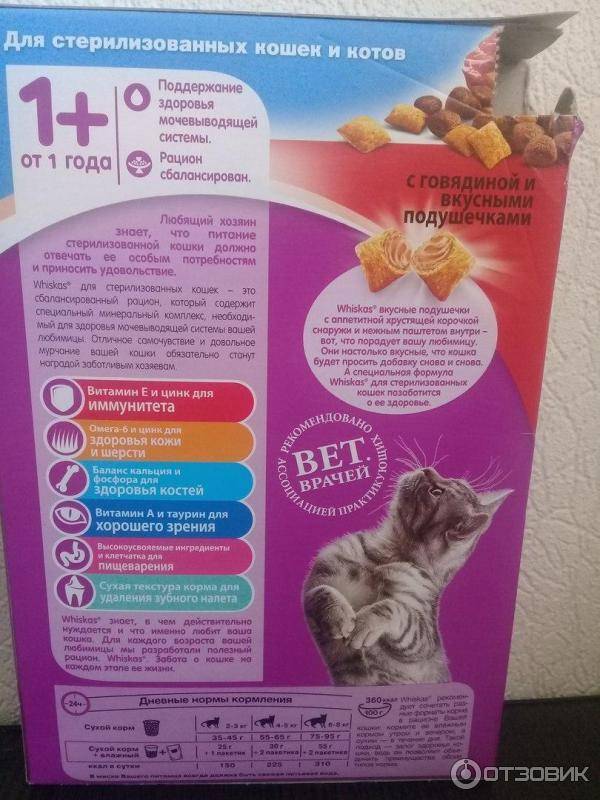 Лучший корм для стерилизованных кошек: сухой, влажный, рейтинг