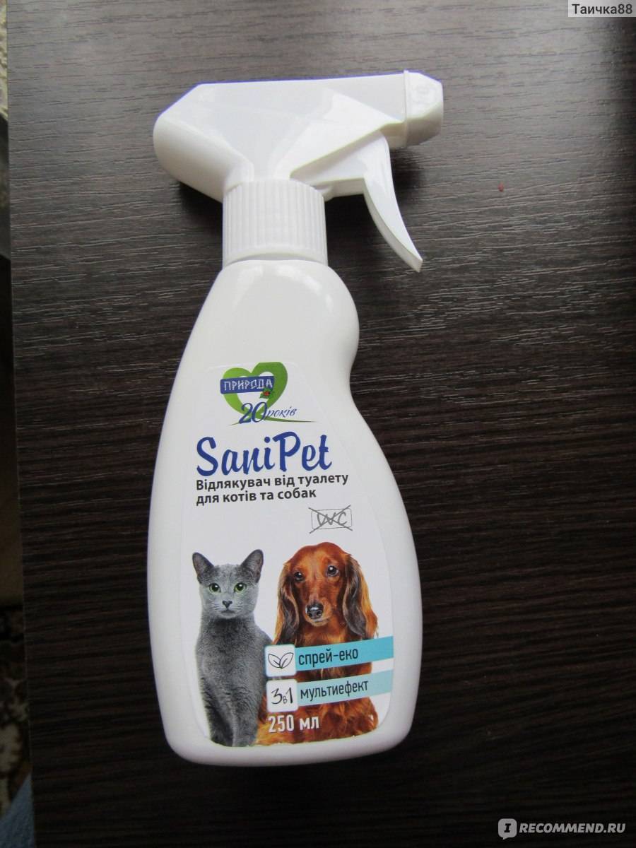 Запахи которые не переносят кошки и коты: какие запахи не любят