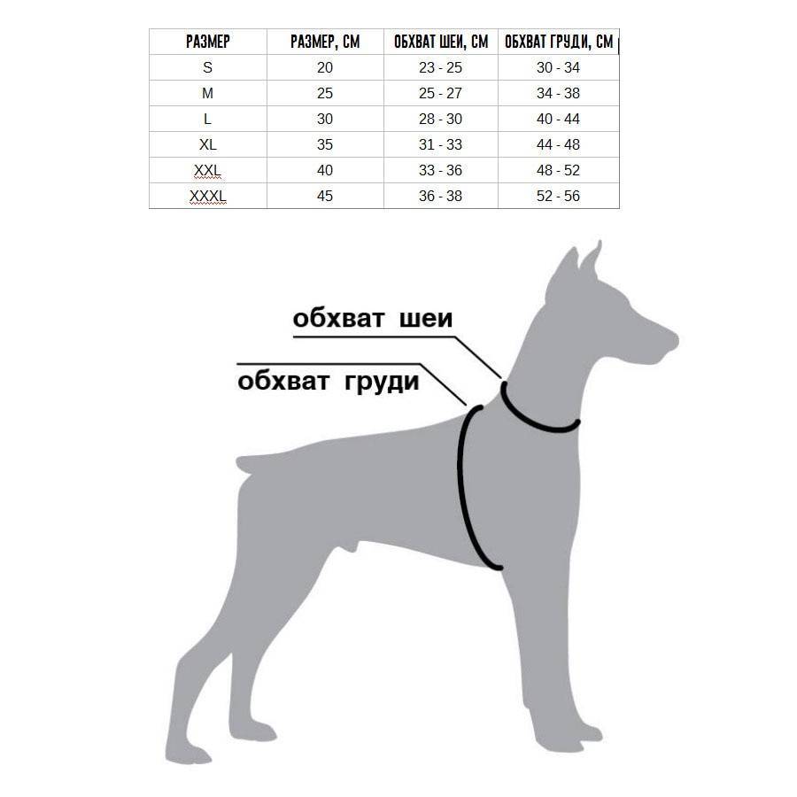 Как правильно выбрать шлейку для маленькой, средней и крупной собаки