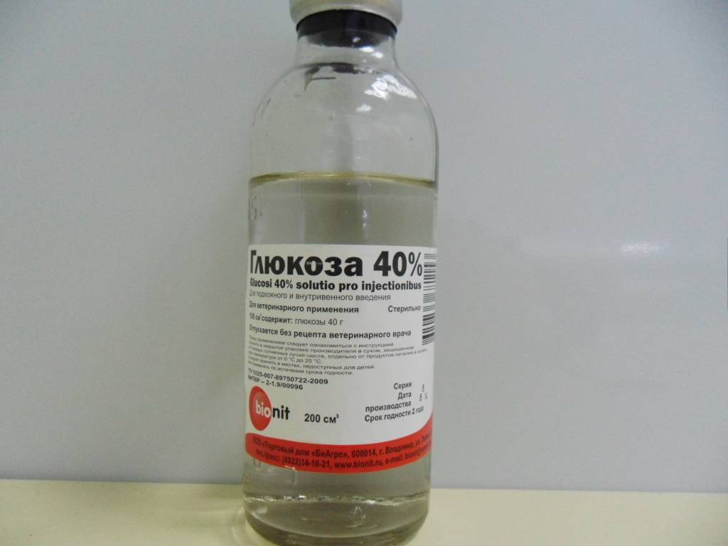 Пищевая поддержка кошек