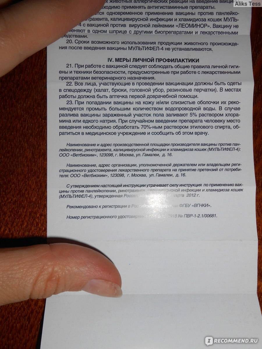 Мультифел 4 для кошек: инструкция, отзывы и состав препарата