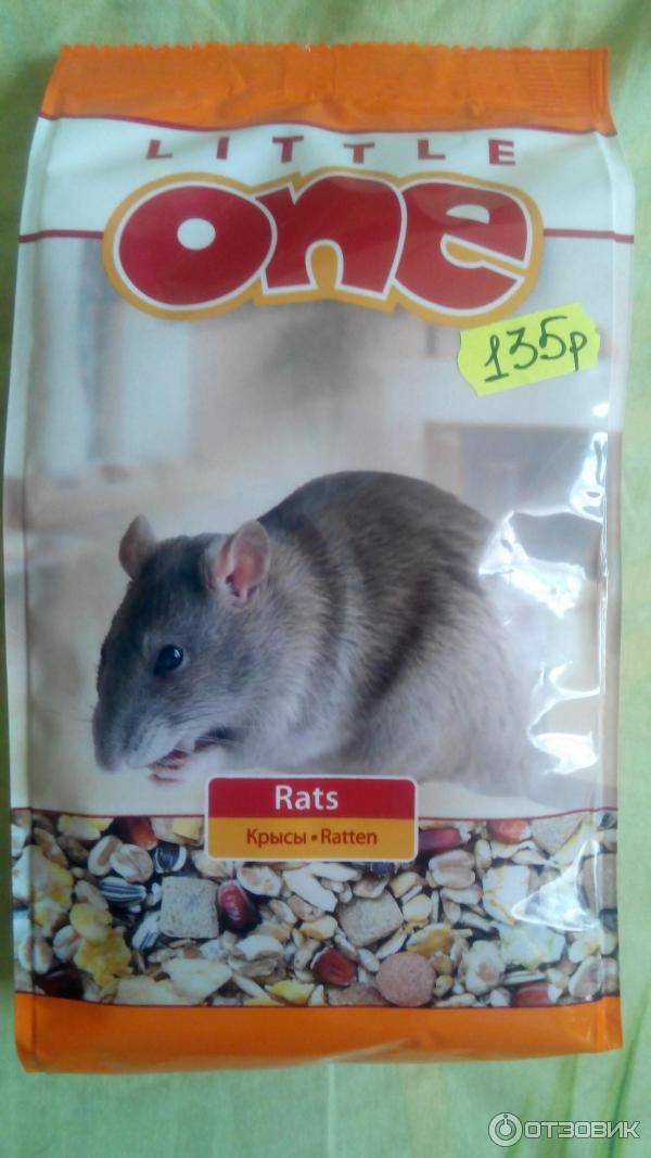 Приманка для крыс и мышей: что эти грызуны любят больше всего и на что их лучше ловить