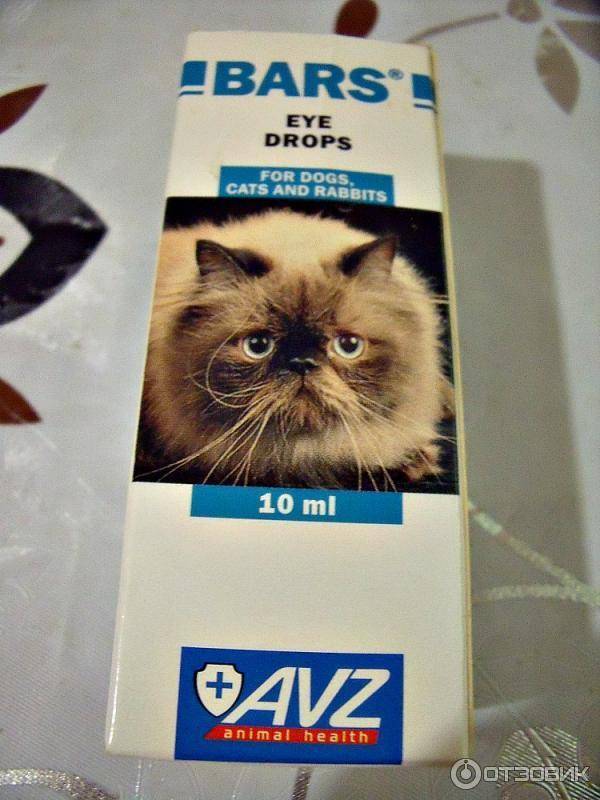 Бриллиантовые глаза (капли глазные) для кошек и собак | отзывы о применении препаратов для животных от ветеринаров и заводчиков