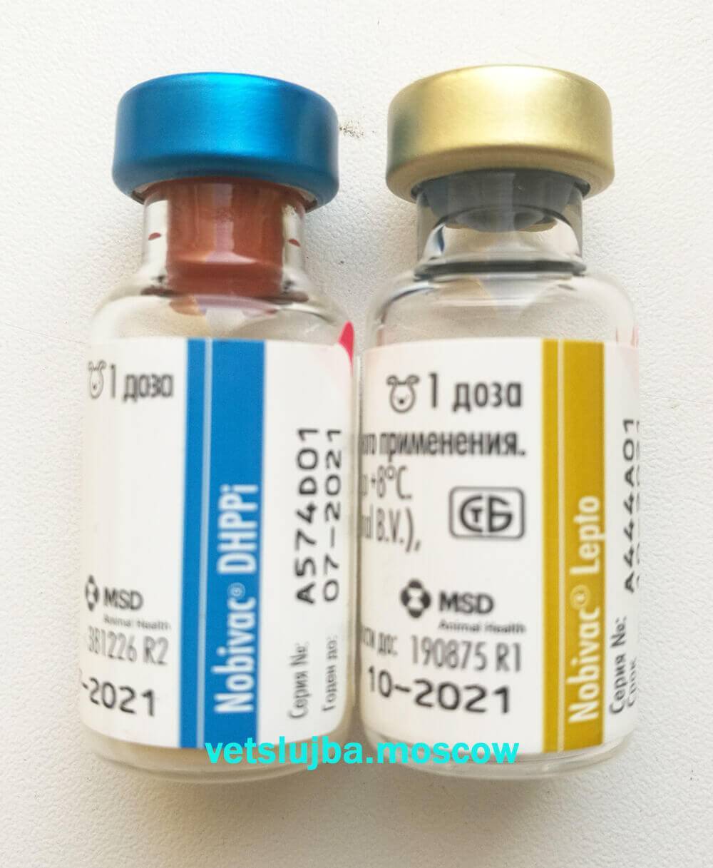 Вакцина для собак l. Нобивак DHPPI RL. Нобивак DHPPI + L для щенков. Нобивак DHPPI l4 Rabies. Нобивак комплексная прививка для собак.